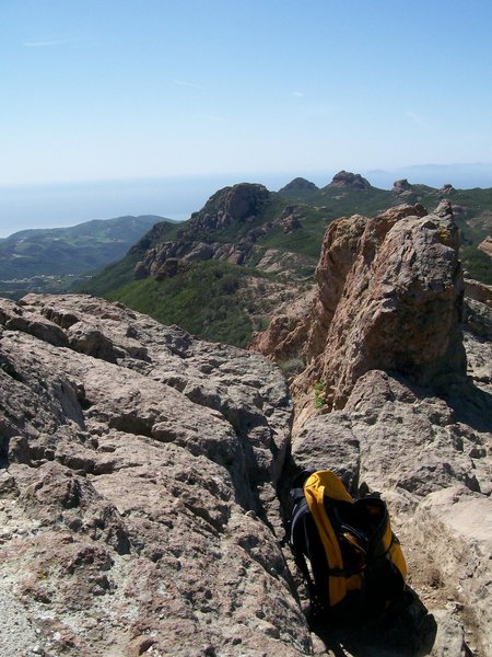 Amelia and I scampered up Mt. Allen in the Sta. Monica mountains.