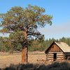 Rustic cabin in Holcomb Valley, Big Bear