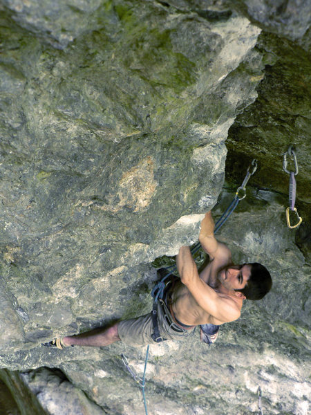 Emile emerging from the pseudo-rest as he starts to steep 