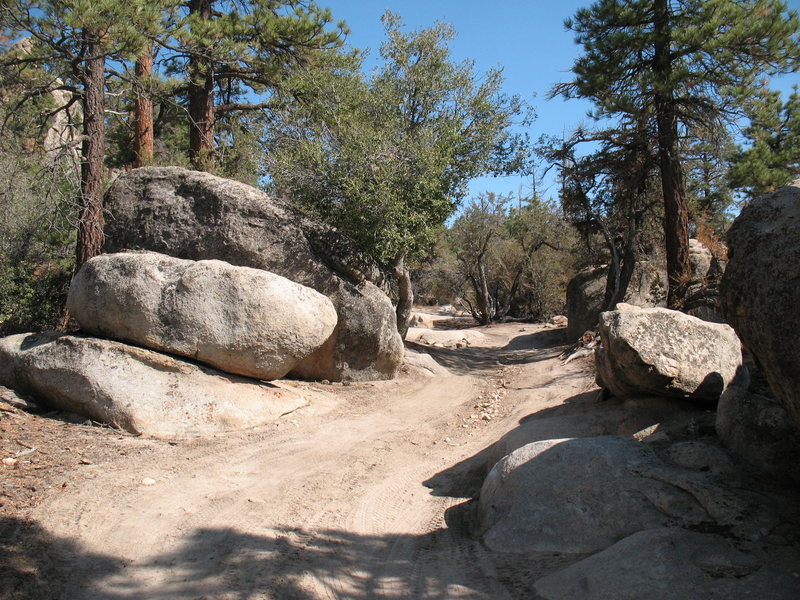 A portion of the road into the Central Pinnacles, Holcomb Valley Pinnacles