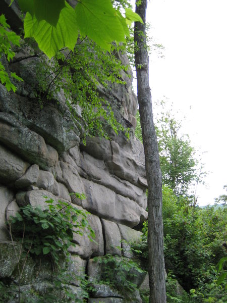 Devil's Den Cave Wall Left Side