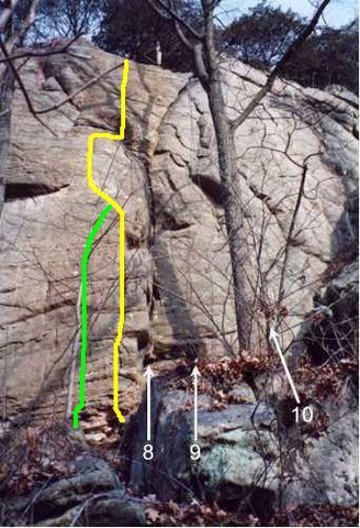 The High Life is shown in yellow. The High Life Direct is the green line.