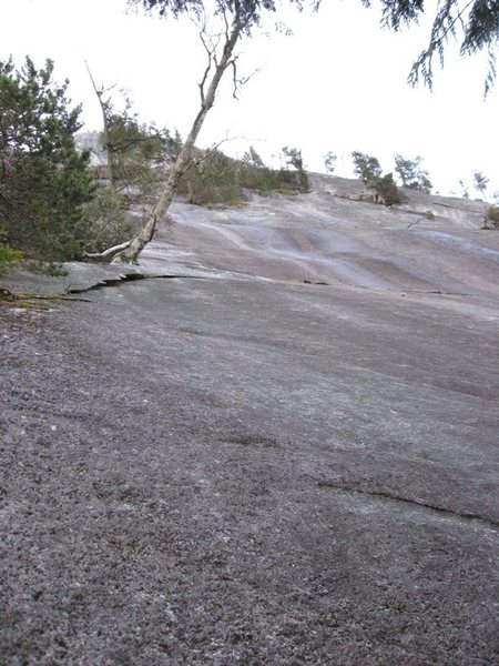 Start of Banana Peel looking up,  note the birch tree on the left with the wear from ropes and sling, thats the official start,  I like the lower slab start to the flake and tree.  Go to the 2nd horizontal in the photo than foot traverse right until you are out of rope or at a good belay below a bolt than follow the waves to the 2nd pitch to the right