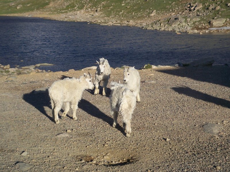 These guys were doing some early morning sparring before the tourists showed up.