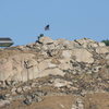 Beach Problem, Triangle Boulders and Superstar Slab Areas