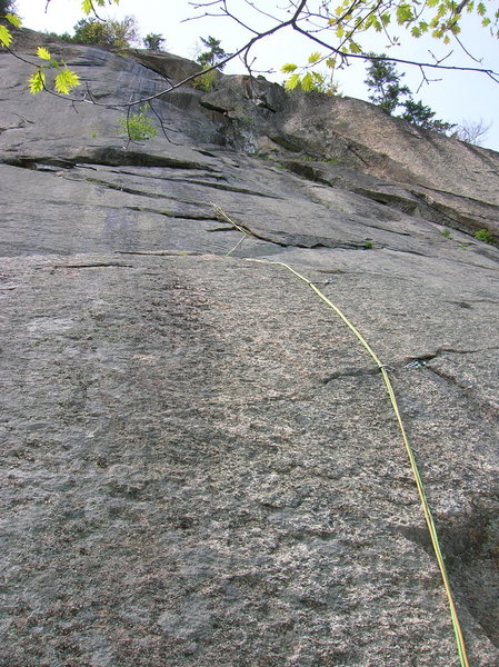 Bolts to the flake then trad gear and number 3 camalot take you up and left along the chossy undercling. I am not sure where the bolts were originally supposed to lead to, but the route was unfinished as far as I could tell. At the top of the undercling make a tenuous traverse left to the Uninvited tree.