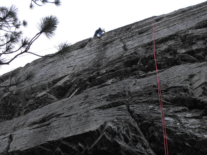 my wife on the upper walls