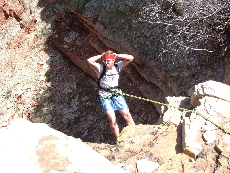 Birch hollow, Zion