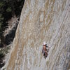 Diana following the second pitch of Ciebola.