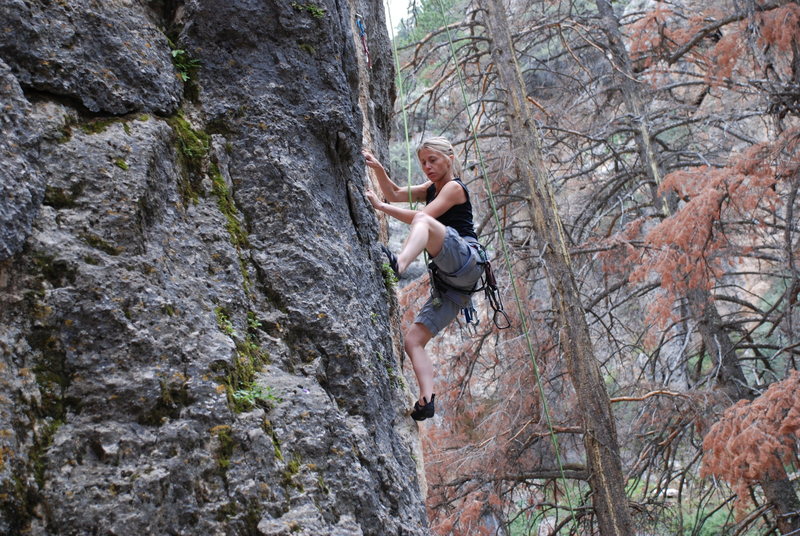 working thru the lower section.  