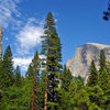 Washington Column and Half Dome