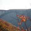 Bridge view from junkyard wall (jumping jack flash)