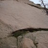 Detail of the upper section of Emphysema.  Ring bolt above ledge, left of dead tree.  Compare this to the left side of the face in the other photo.