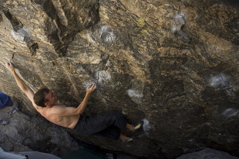 Secret Splendor V12, photo by Shannon Forsman.