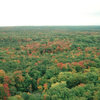 Fall colors just starting. From atop Cliff Dr. 