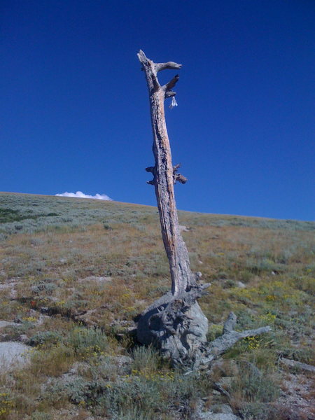 Marker on the hillside between Cherry canyon and draper ridge trail