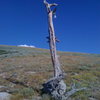 Marker on the hillside between Cherry canyon and draper ridge trail