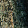 Doug on the chimney on the 3rd pitch. From here, climb onto the ledge on the right traverse around 15ft right and up to a belay near the crest of the ridge.<br>
Photo: Dan Gambino.