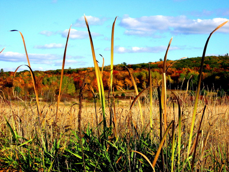 Fall hike at Devil's Lake 