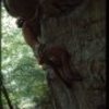 bouldering near the uberfal, Gunks 1976