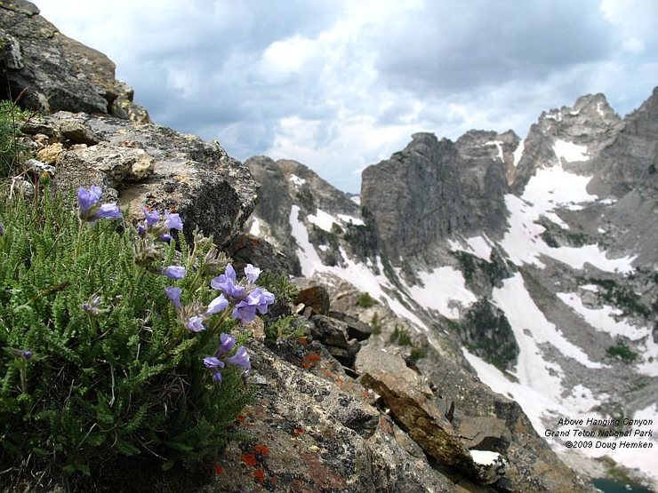 Above Hanging Canyon