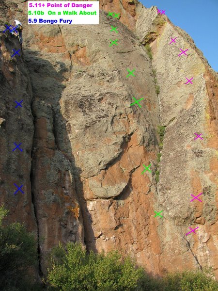 On a Walk About is the 2nd climb from the right in this photo.