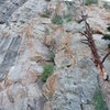 Vegetated terrain near the left edge of the buttress of Route 2 (see Hill's guide). Is this the 5.6 way??