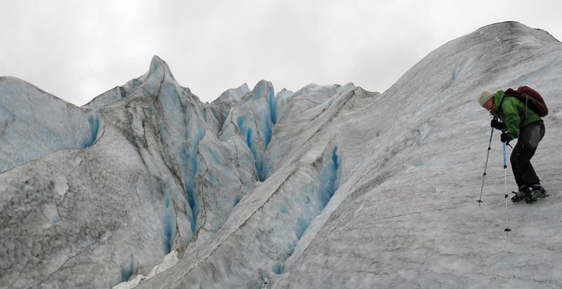 On Reid Glacier