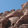 A Bighorn spotted far off in the distance. Look closely, (upper left hand corner) and you'll see him on the ledge.<br>
<br>
Kraft Mt. 9/7/09