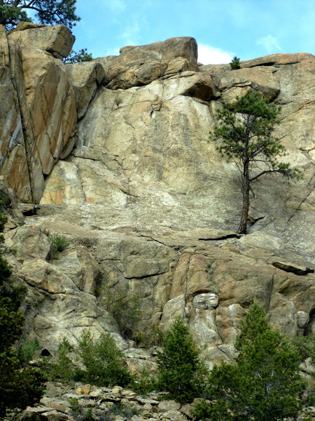 A photo of the left side of the Leaning Wall with the "slab tree" growing from the middle of the slab.