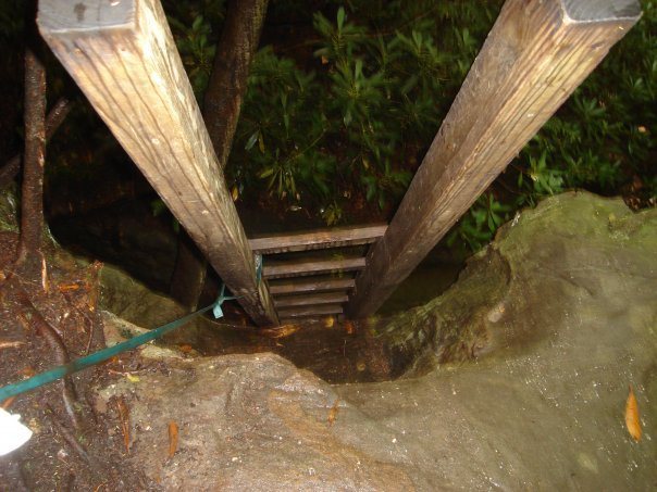 The ladder