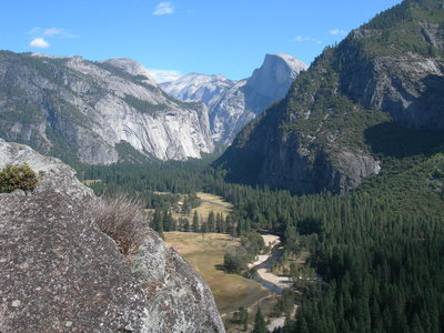 Rock Climb Absolutely Free, Center, Yosemite National Park Rock Climb Absolutely Free, Center, Yosemite National Park