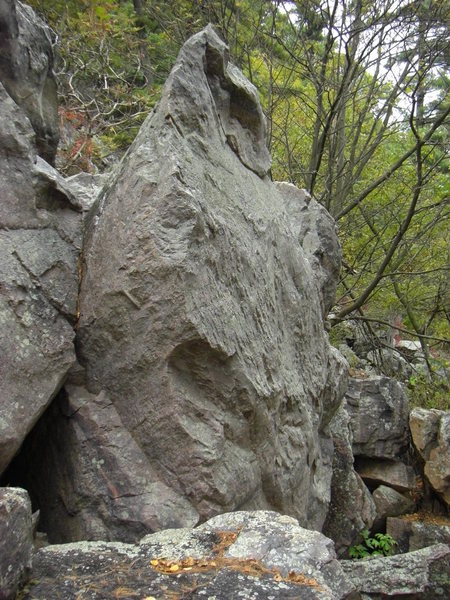 Another great looking line up in the talus.