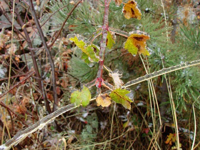 Hiking around the Flatirons in the freezing rain, October '09.