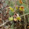 Hiking around the Flatirons in the freezing rain, October '09.