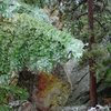 Hiking around the Flatirons in the freezing rain, October '09.