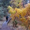 Hiking around the Flatirons in the freezing rain, October '09.