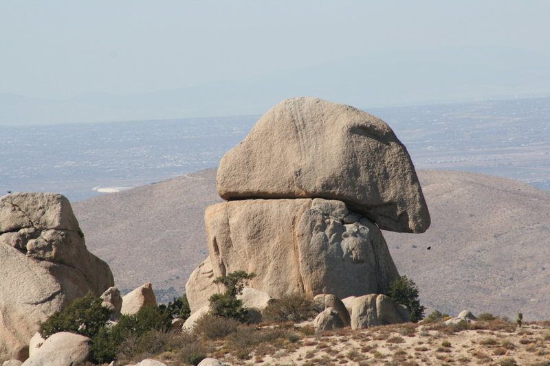 Grapevine Canyon<br>
Cap Rock.