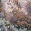 Emily Kuhr on the Split Pillar, 5.9?  Taken from across the road, only 0.9 miles from Newspaper Rock.<br>
