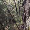 Mark Wenzel felling the "cheat tree" at the stat of what we then called Chucklehead Crack.  River side of cliff.  1985.