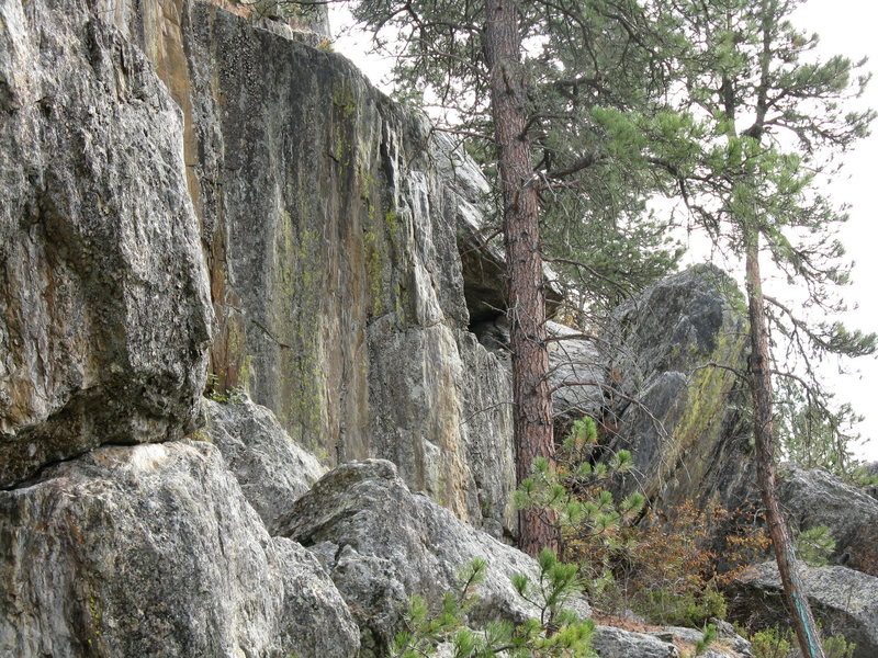 I found some big boulders in the woods.