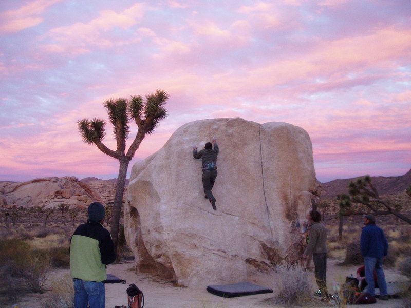 Pinhead Boulder in Joshua Tree with the usual suspects