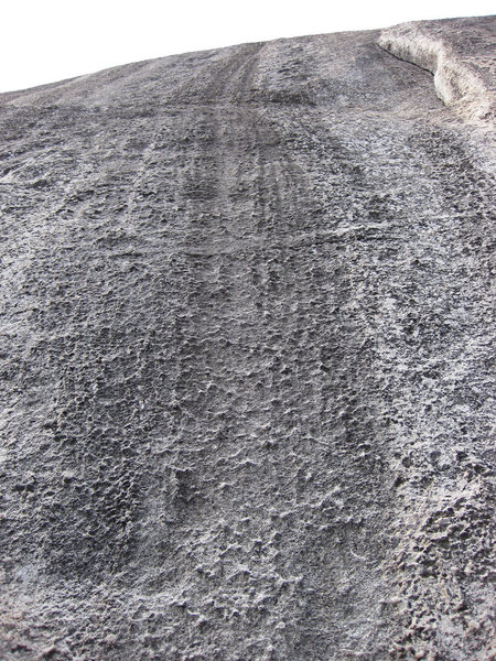 Looking up Biscuit and Gravy (5.8)