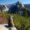 A squirrel with a view.  We were laughing about the tourists from other countries taking pics of rodents, and then there I was...  September 2009.