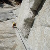 Ginger follows on the Crescent Arch, Tuolumne Meadows