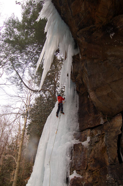 The short main flow of Lower Meadow Run was perfect for Laura's first NEI3 lead.