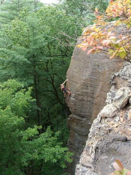 Eye of the Needle