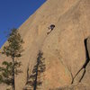 Luke Clarke above the bolts on the quality alternate start to Fool's Gold. Easily protected cracks lead to three bolts where the route joins the traditional line. (The offwidth start to Face Value is in lower right.) Photo by Lenny Miller.