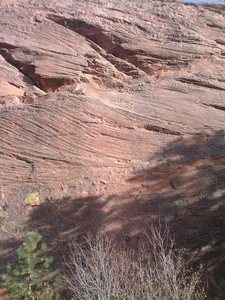 Baja Ha Ha from across the path.