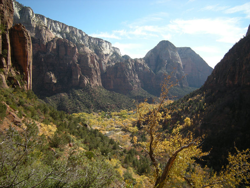 Fall colors, looking out of the canyon.